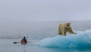 Paddling The Cold Edge kayak sea expedition