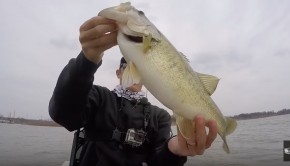 Bass kayak fishing Texas