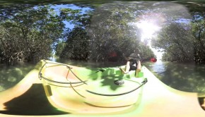 360 degrees video Florida kayaking Paddle World