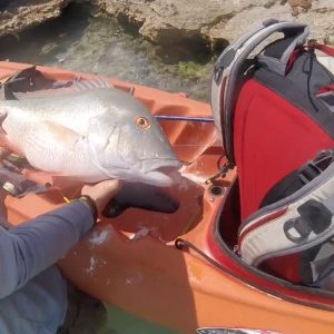 Turks & Caicos kayak fishing Paddle World