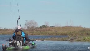 Fishing with alligators Paddle World