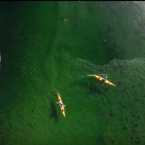 Arctic Kayaking Paddle World