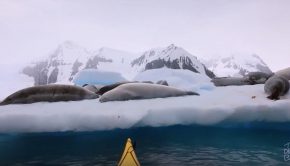 Sea kayaking Antartica Paddle World