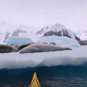 Sea kayaking Antartica Paddle World