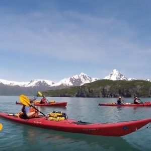 Kayaking Alaska Paddle World