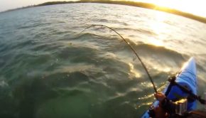 kayak fishing paddle World