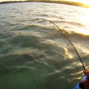 kayak fishing paddle World