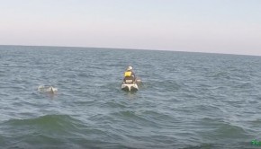 30 miles out shark attack Paddle World