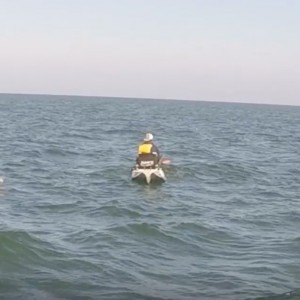 30 miles out shark attack Paddle World