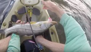 kayak fishing paddle World