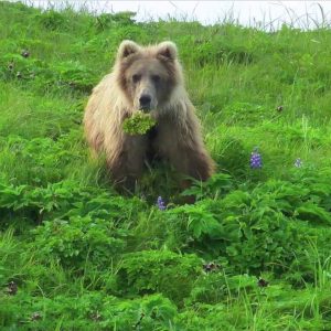 galapagos Sea kayaking Paddle World