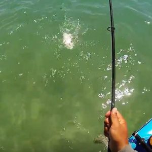 Key West kayak Fishing paddle World