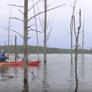 YakAttack Charity Kayak Fishing Tournament | Briery Creek Lake Virginia