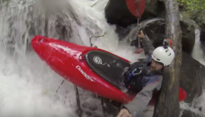 Hilarious Carnage Compilation