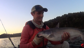 Monsters Under My Kayak: Catching Huge Catfish with Cut Bait