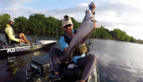 Clown Knifefish in Florida | #FieldTrips