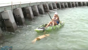 Kayak Fishing For Captchancey Pet Grouper: Can A Girl Catch A Giant Fish In Florida?