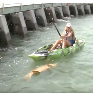Kayak Fishing For Captchancey Pet Grouper: Can A Girl Catch A Giant Fish In Florida?