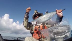 Bucket Of Pilchards On The Reef - Key West Kayak Fishing