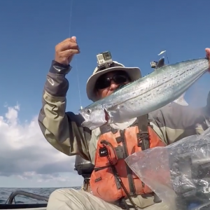Bucket Of Pilchards On The Reef - Key West Kayak Fishing