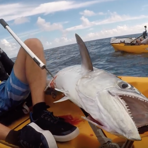 WATCH YOUR Feet With These RAZOR SHARP Teeth! GIANT King Mackerel-Deep Blue Kayak Fishing Charters