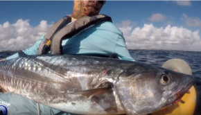 BEAST King Mackerel | DEEP BLUE Kayak Fishing Charter South Florida
