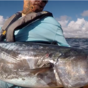 BEAST King Mackerel | DEEP BLUE Kayak Fishing Charter South Florida