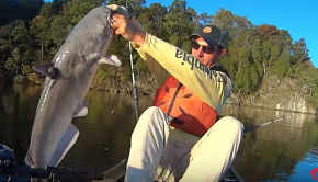 MASSIVE Blue Catfish on the Hook!