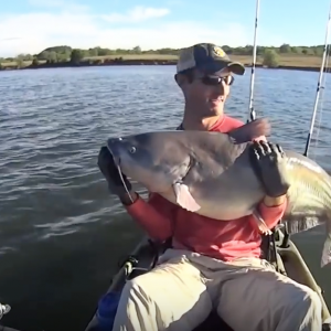 How to catch trophy size blue catfish in a kayak