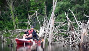 Kayak Fishing Bass | Tennessee Timber Fishing