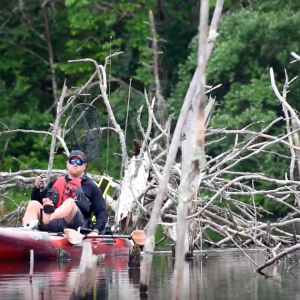 Kayak Fishing Bass | Tennessee Timber Fishing