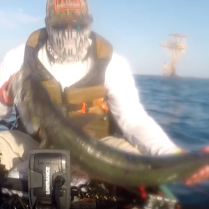 Kayak Fishing: King Mackerel PART 2 | #NextLevelFishingTV