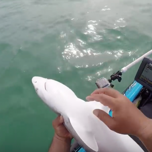 Edge Of The Flats With A Bucket Of Pilchards
