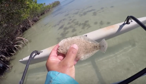 Key West Kayak Fishing - 5 Species