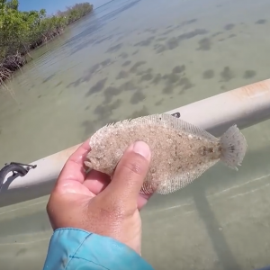 Key West Kayak Fishing - 5 Species