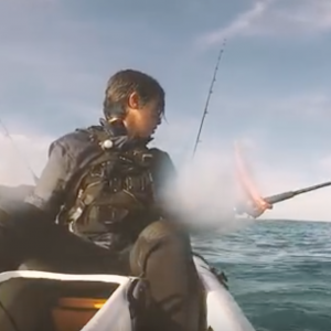 Welcome To The Land Of Big Kingfish - New Zealand Trip - Part I