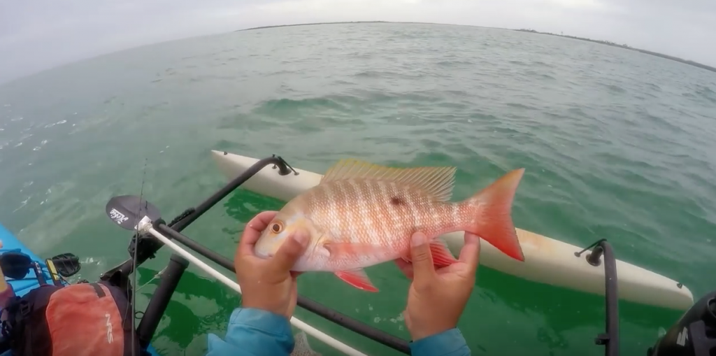 Randy Morrow Kayak Guide Key West | Key West Fishing