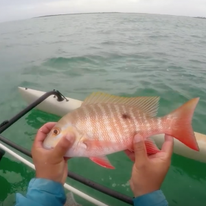 Snapper Grand Slam - Lane, Mutton, Yellowtail, and Mangrove... Key West Kayak Fishing