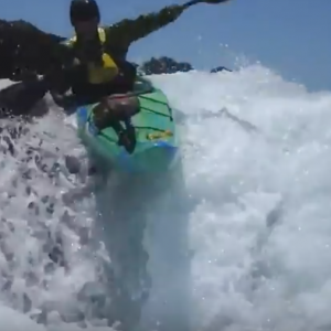 An Odd Year - Neptunes Rangers 2017 Wrap-up - Epic Rock Gardening!