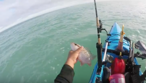 Key West Fishing: The Complete Guide