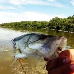 Kayak Concerto: Fly Fishing South Florida on the Kayak