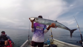 Chasing MONSTER Fish from Kayaks at Los Buzos | Field Trips Panama
