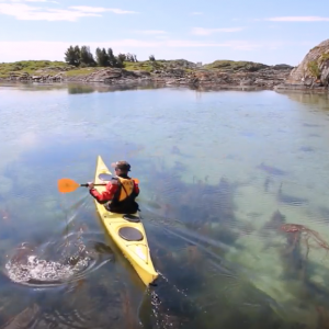 Kayak Adventure in NORWAY