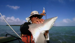 Using Shark For Bait To Catch Monster Sharks? Key West Kayak Fishing