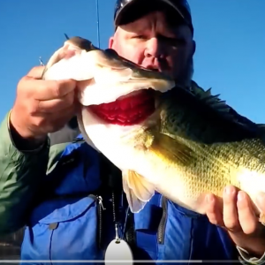 Walking The Dog | JUST THE TIP | Kayak Bass Fishing