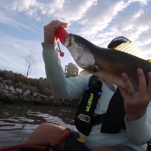 Use this retrieve to catch more fish - Kayak Fishing Tip!
