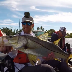 Fishing for BIG Snook & a Surprise Wildlife Encounter | Field Trips Florida