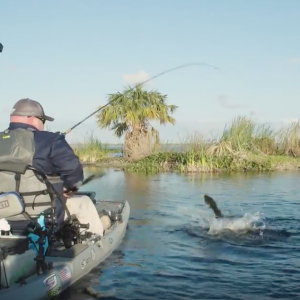 Shallow Water Bass Fishing | Pre-Spawn Tactics | Soft Body Swimbaits