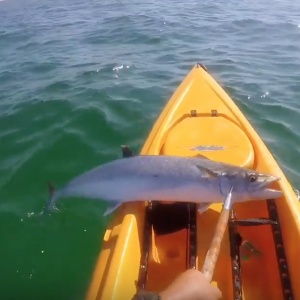 TOP 3 Kayaks from Academy for Kayak Fishing !