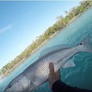 Awesome Day Florida Keys Flats/Backcountry - Ft. Old Outboard